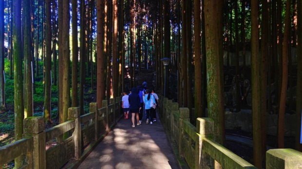 image003 (2).jpg image003 (2).jpg