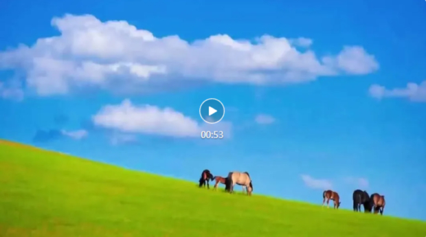 wechat_2025-08-28_103229_079.jpg wechat_2025-08-28_103229_079.jpg