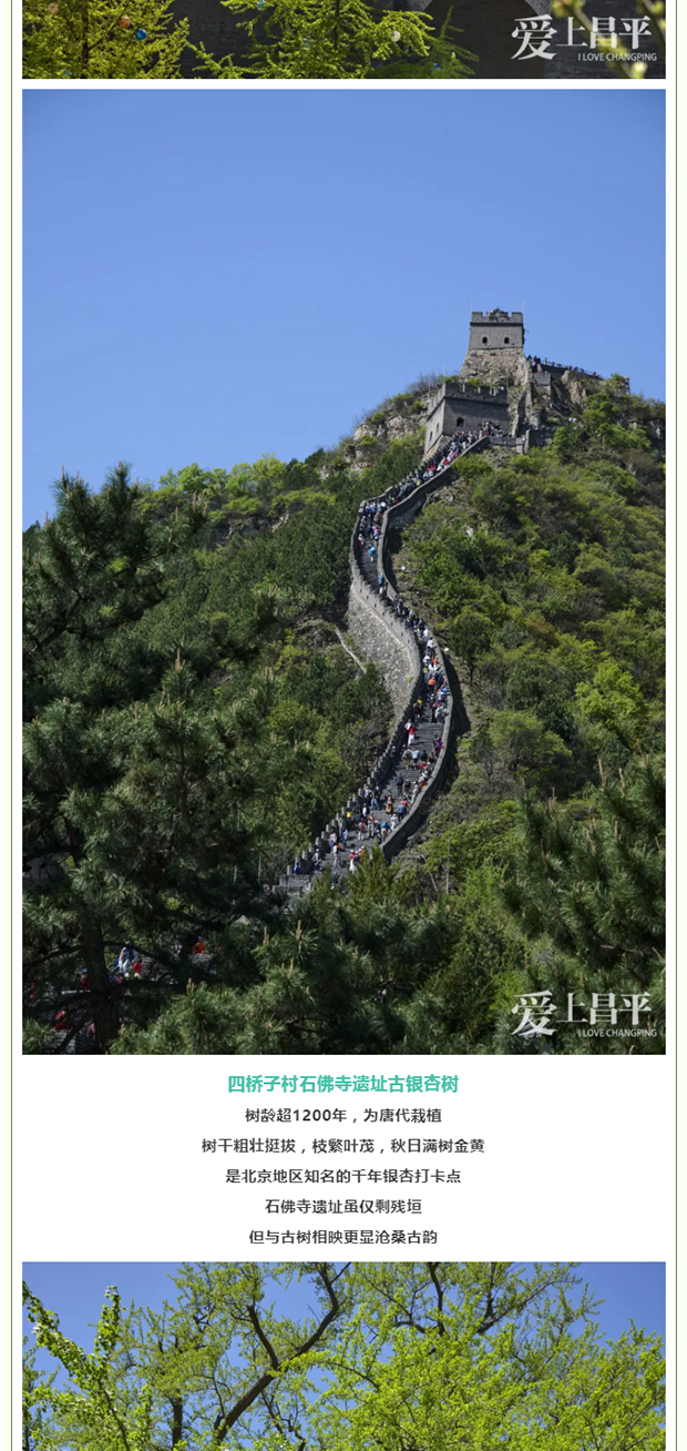 ��ƽ4���������������� �� ����ǧ��ż����ʱ������_0003_ͼ�� 4.jpg