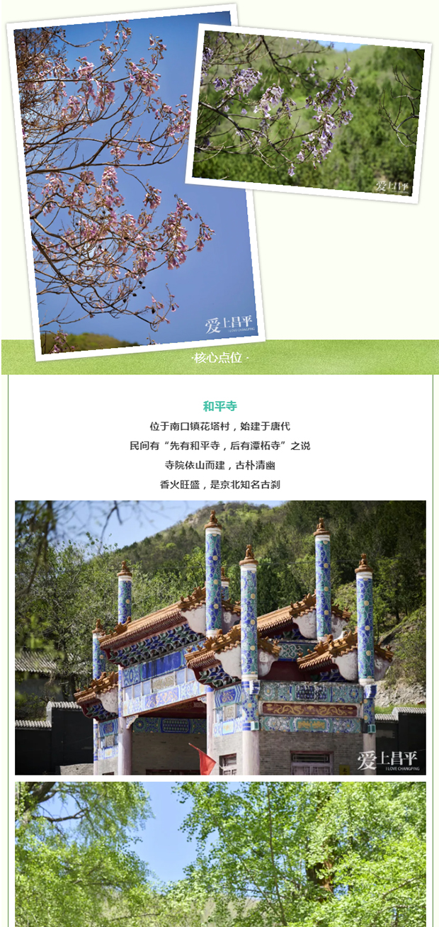 ��ƽ4���������������� �� ����ǧ��ż����ʱ������_0010_ͼ�� 11.jpg